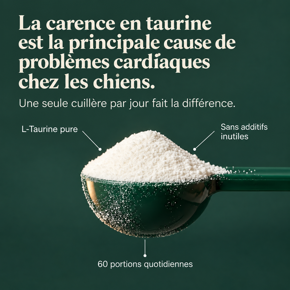 Pawtouni Taurine